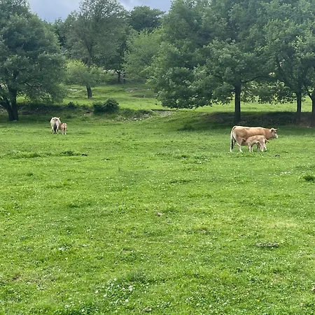 Les Champs étoilés * Castellet-les-Sausses