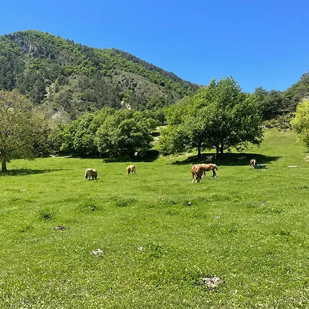 Les Champs étoilés