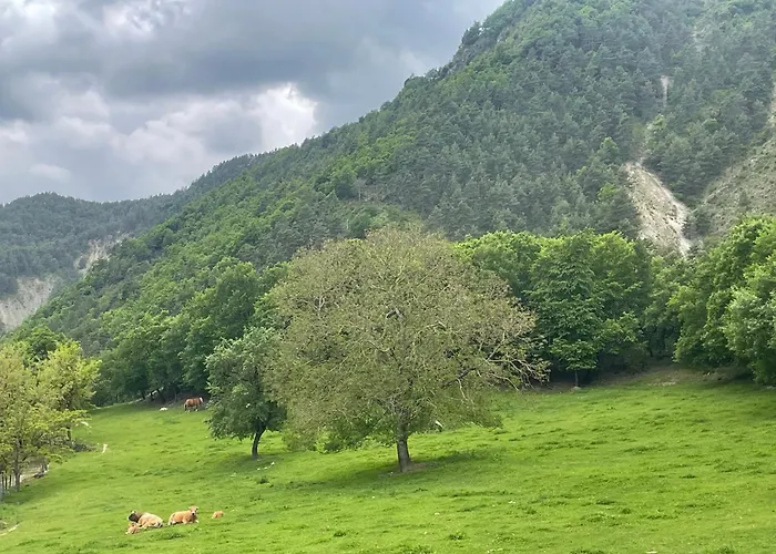 Les Champs Etoiles Apartment
